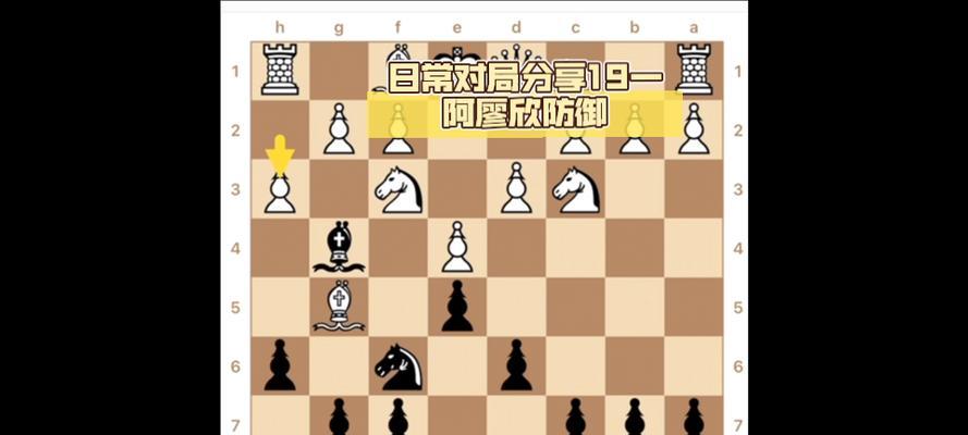 国际象棋技巧（以方法论提高象棋水平）