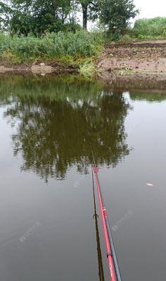 春季下雨野钓技巧教程（雨中钓鱼的秘籍，让你大显身手）